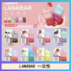 LANA BAR可充电一次性電子煙霧化5000口(3.0%)